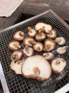 初雪キャンプ(ほんとは開拓予定だった・・・) 10 13427164 C938 4D7F 82D9 80B49E2B3509 L0 001