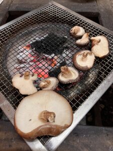 初雪キャンプ(ほんとは開拓予定だった・・・) 9 23810D38 F3D0 4F48 87A3 45A2DF242C17 L0 001