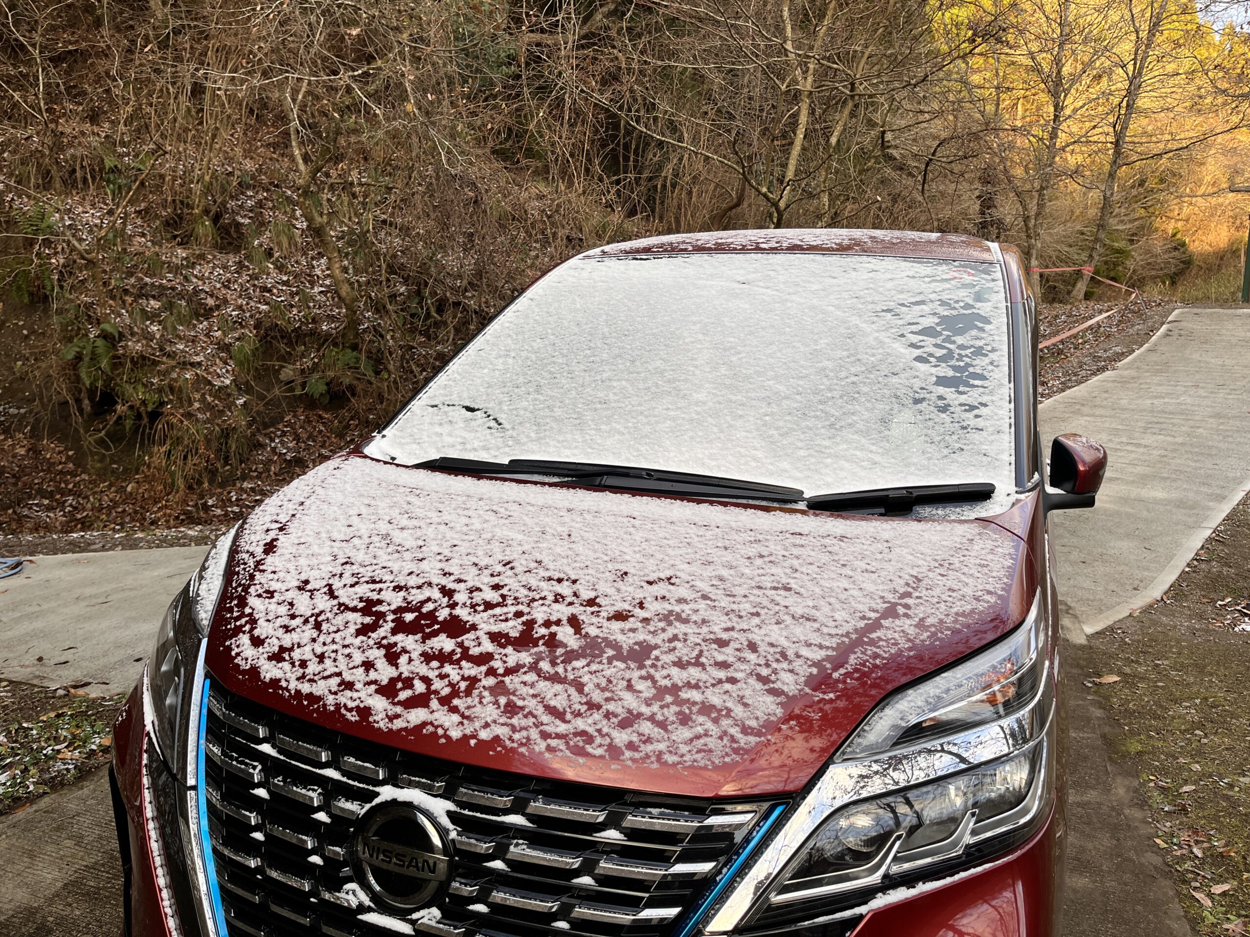 F2B3AE39 0EBB 4ABB B3AA 686CAB8F5CC1 L0 001 scaled