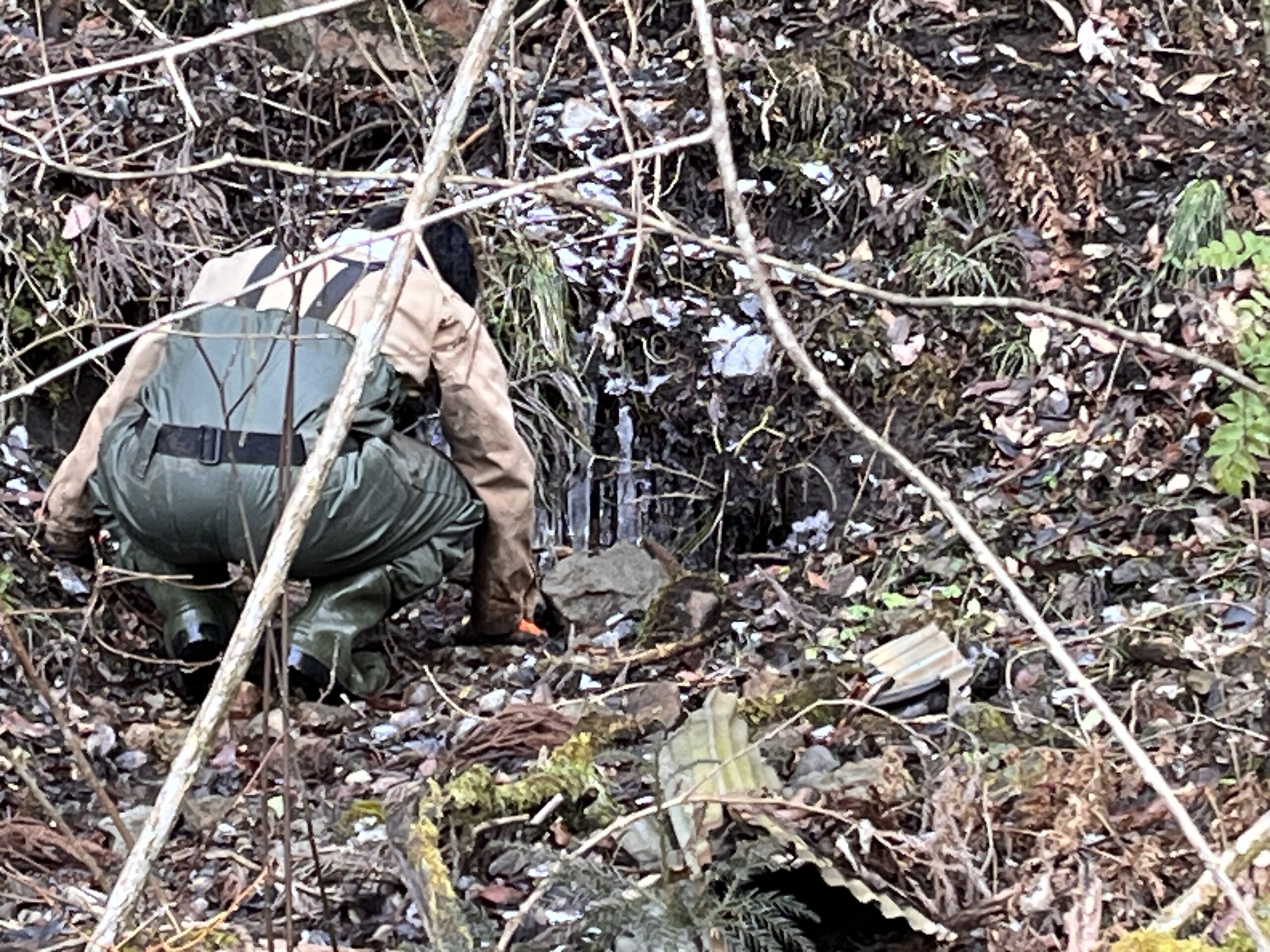 E6EA4437 68F1 4E62 99AD D4F541FF1DC2 L0 001 scaled