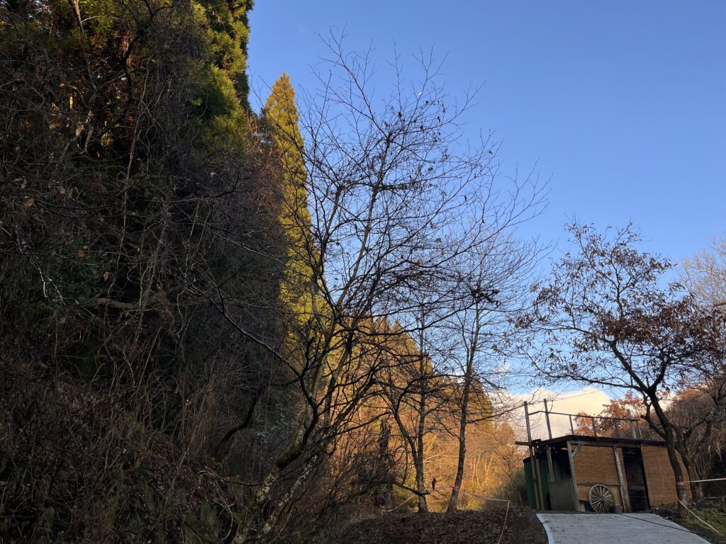 F9F2B418 2E88 492F A89F 8C9ADA9AD2AE L0 001