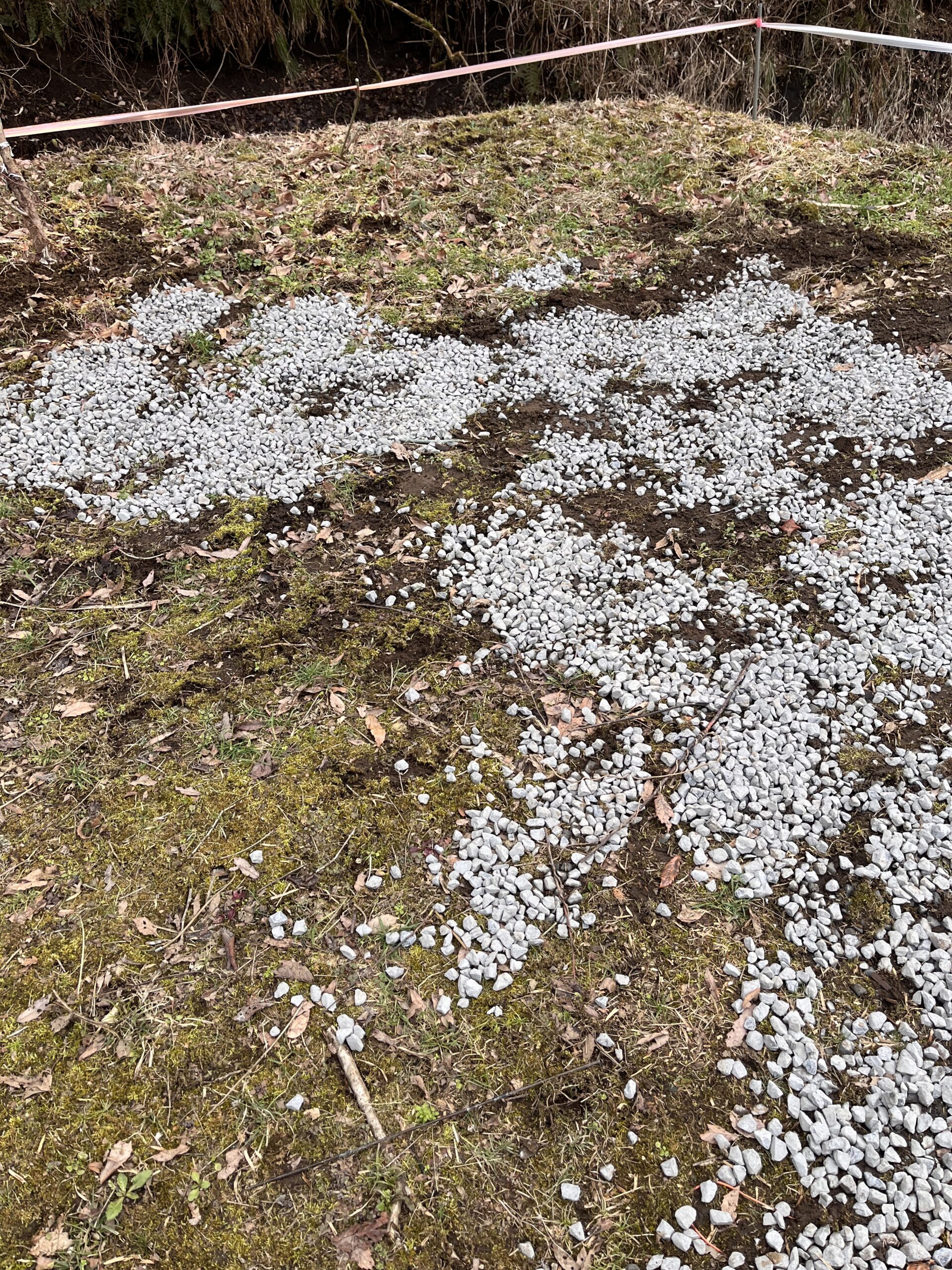 0EF54629 4E1A 4517 A3B7 461B87F2A0F3 L0 001 scaled