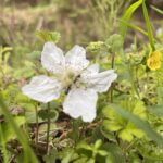 0B2EDCFC 21E7 454E AD4D 00326E0D095B L0 001