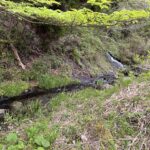 207C6542 B510 46F4 920A A6114962E03D L0 001