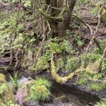 87F13F86 358A 4106 94C7 727CCD2D3273 L0 001