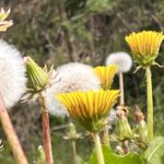 9EA754D1 856E 48D6 924E 9B161855ADC0 L0 001