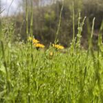 A78A28F9 CED8 46B6 A413 2B580B7764CB L0 001