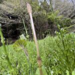 B1BBBBD2 8A47 45EE 8A4A 3C568D18061F L0 001