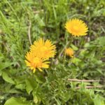 C98905E2 040F 4B88 9D0D A6147B193FEC L0 001