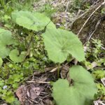 E6F2974F 320D 476D AC0F BDDB58C57513 L0 001