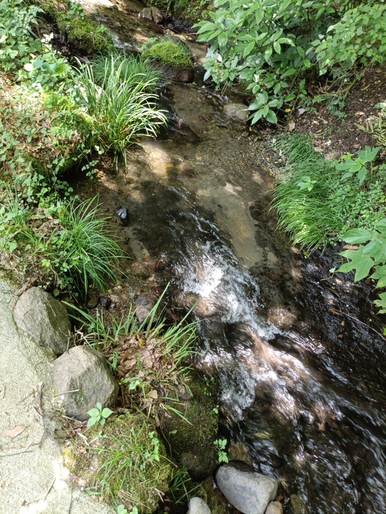 IMG20250621112027