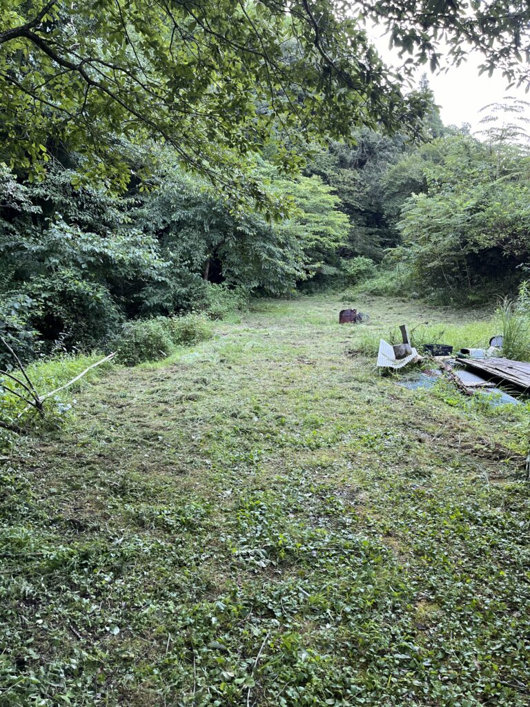 IMG 0188